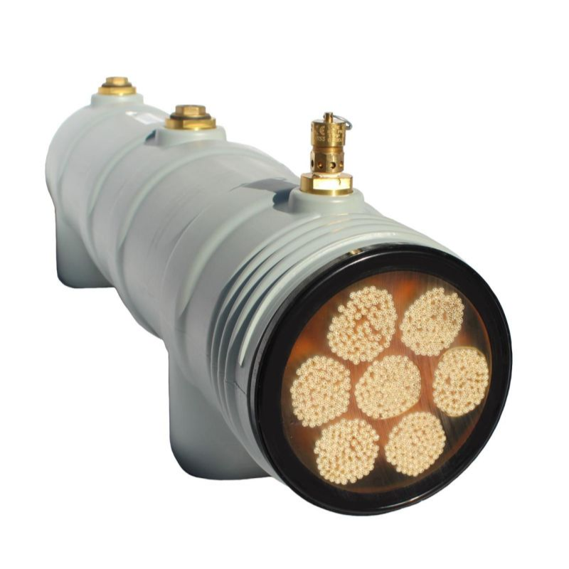 LifeSaver C1 Wasserfiltersystem