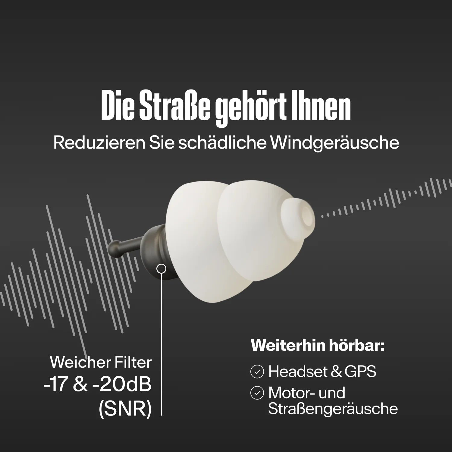 Alpine MotoSafe Earplugs